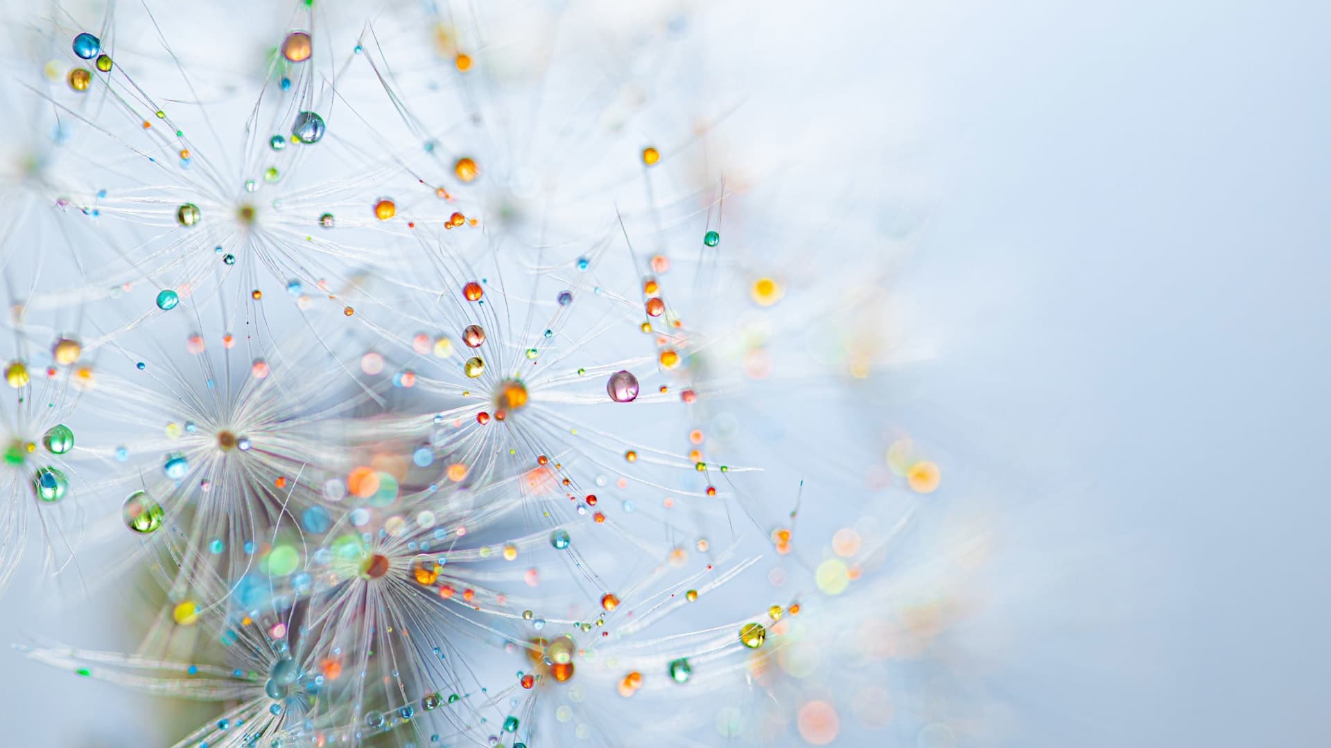 AKIKO WATANABE JEWELRY 　イメージ